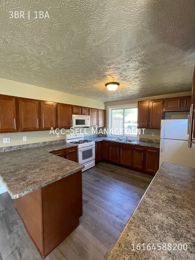 439 Carrier St NE in Grand Rapids, MI - Building Photo - Building Photo