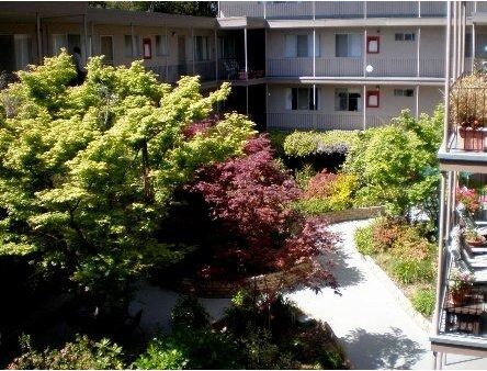 540 Callan Ave in San Leandro, CA - Foto de edificio - Building Photo