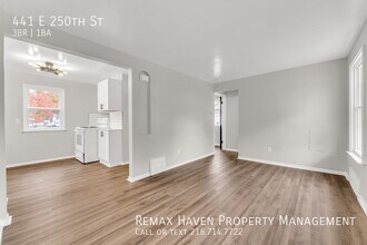 441 E 250th St in Euclid, OH - Building Photo - Building Photo