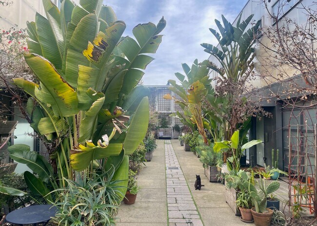 6056 Adeline St in Oakland, CA - Building Photo - Building Photo