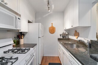 455 W St James Pl-Unit -301 in Chicago, IL - Building Photo - Building Photo
