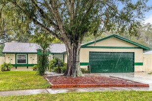 412 Lakeview Dr in Oldsmar, FL - Building Photo