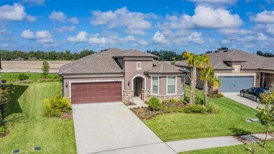 8202 Olive Brook Dr in Wesley Chapel, FL - Building Photo - Building Photo