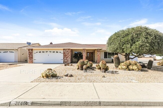 property at 26460 Spaniel Ln