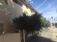 16519 S Ainsworth St in Gardena, CA - Foto de edificio - Building Photo