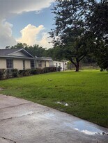 717 E Sycamore St in Fresno, TX - Building Photo