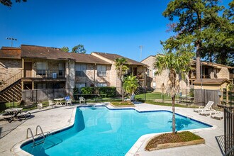 Lyons Court in Spring, TX - Building Photo - Building Photo