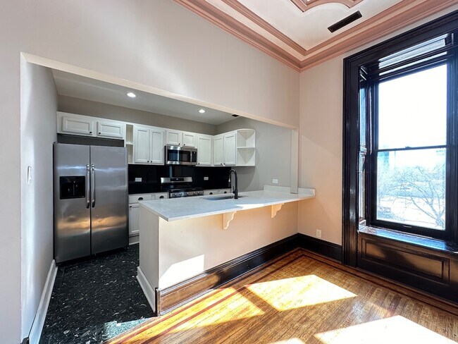 238 S Ashland Ave, Unit A03C in Chicago, IL - Building Photo - Building Photo