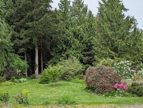 2575 Yew Street Rd, Unit 2575 in Bellingham, WA - Building Photo - Building Photo