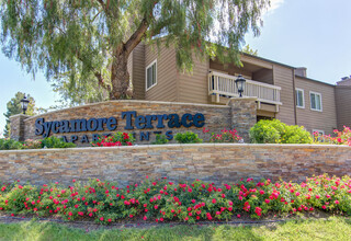 Sycamore Terrace Apartments in Temecula, CA - Building Photo - Building Photo