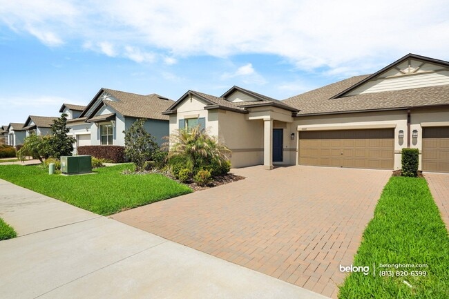 10043 Campanula Ct in Land O Lakes, FL - Building Photo - Building Photo