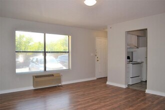 701 W Sycamore St, Unit 306 in Denton, TX - Building Photo - Building Photo