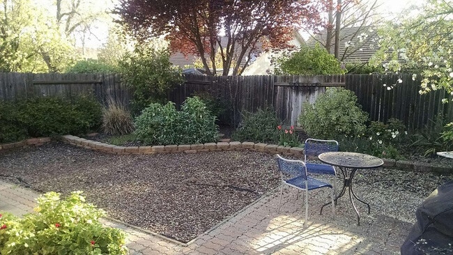 924 Zaragoza St in Davis, CA - Building Photo - Building Photo