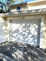 11241 Cedar Hollow Ln in Tampa, FL - Building Photo