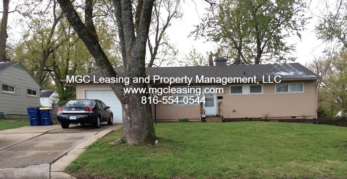 206 SW McClendon Dr in Lee's Summit, MO - Building Photo