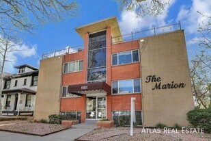 1151 N Marion St in Denver, CO - Building Photo