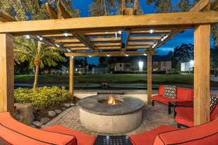 Carrollwood Station in Tampa, FL - Building Photo