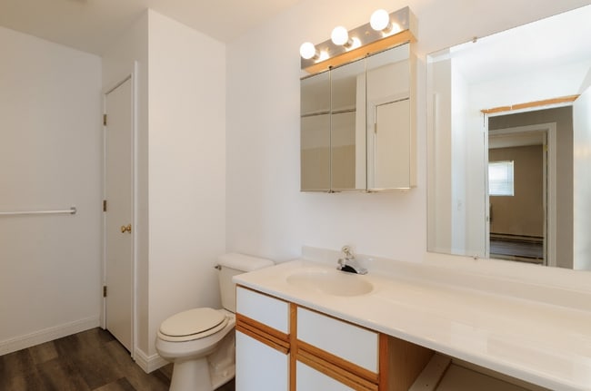 1480 Spring Brook Ct in Round Lake Beach, IL - Foto de edificio - Building Photo