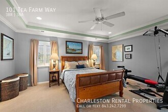101 Tea Farm Way in Charleston, SC - Building Photo - Building Photo