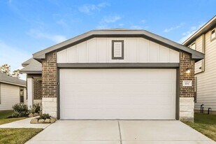 10715 Sunlit St in Cut And Shoot, TX - Building Photo