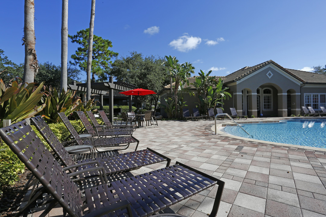 MAA Palm Harbor in Palm Harbor, FL - Building Photo