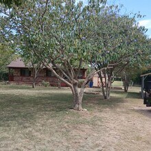 1531 Co Rd 269 in Leander, TX - Building Photo - Building Photo