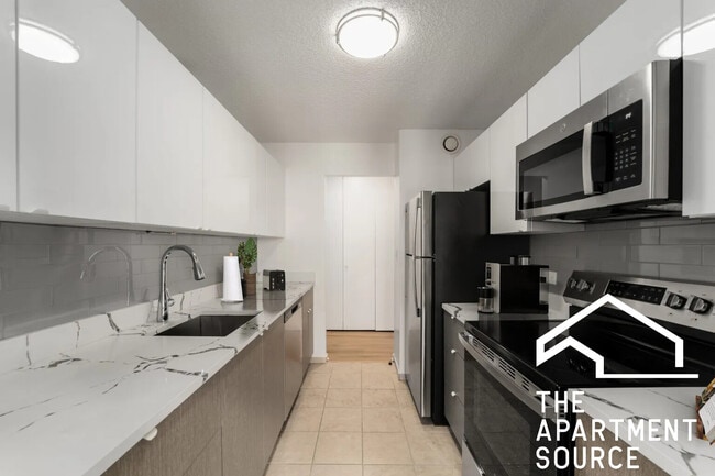 1133 N Dearborn St in Chicago, IL - Building Photo - Building Photo