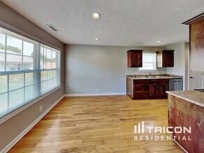 325 Brandywine Ln in Springfield, TN - Foto de edificio - Building Photo
