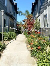 Somerset Apartments in Chino, CA - Building Photo - Building Photo