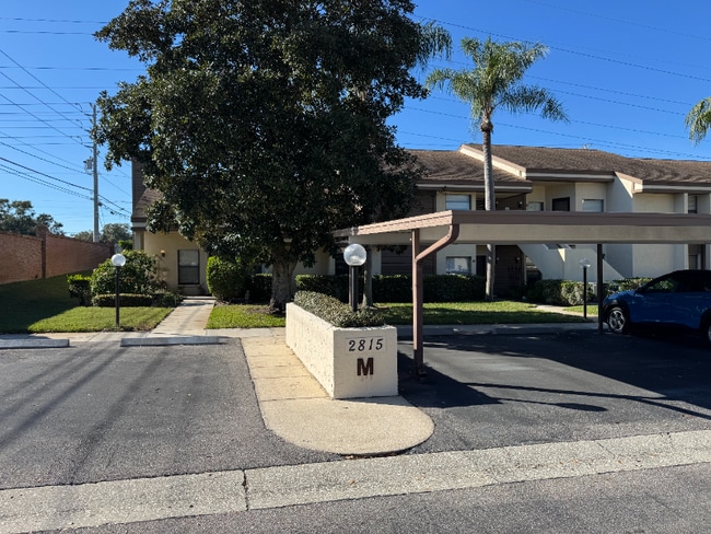 2815 Countrybrook Dr in Palm Harbor, FL - Foto de edificio - Building Photo