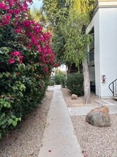 740 W Elm St, Unit 220 in Phoenix, AZ - Foto de edificio - Building Photo