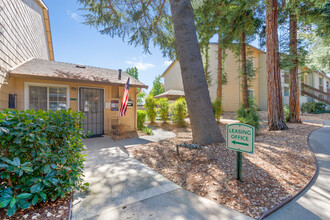 Walnut Village in Sacramento, CA - Building Photo - Building Photo