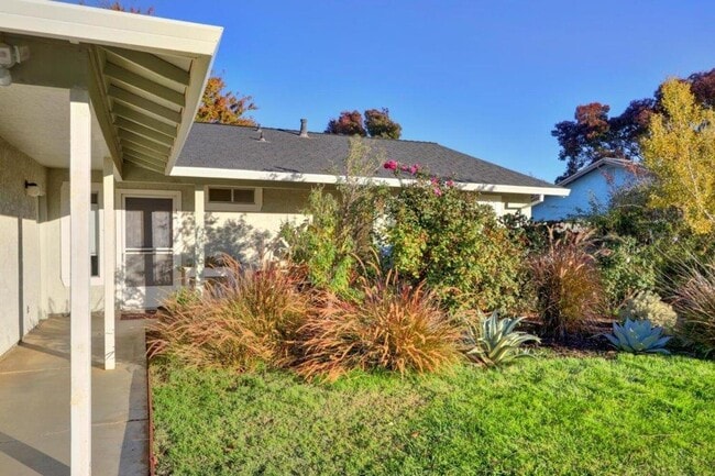 905 Valley Oak Dr in Winters, CA - Building Photo - Building Photo