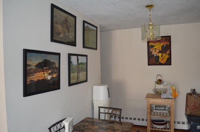 62 Parkman St, Unit 3B in Brookline, MA - Building Photo - Building Photo