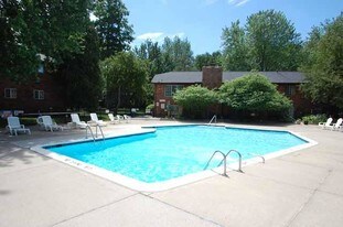 Northville Forest Apartments in Plymouth, MI - Building Photo