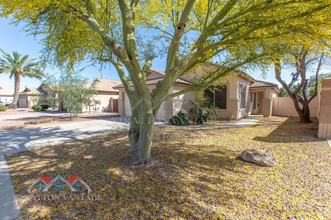 8039 W Alex Ave in Peoria, AZ - Building Photo - Building Photo