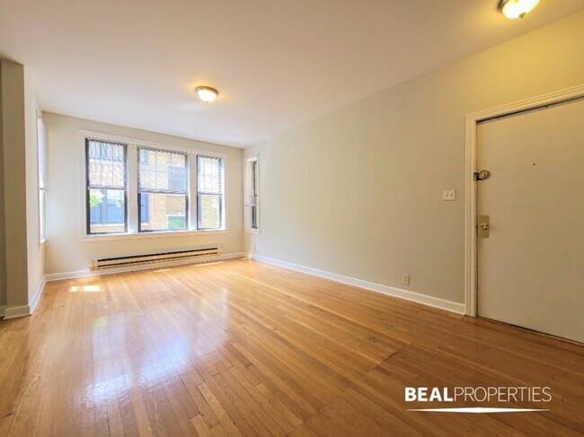721 W Barry Ave in Chicago, IL - Building Photo - Building Photo
