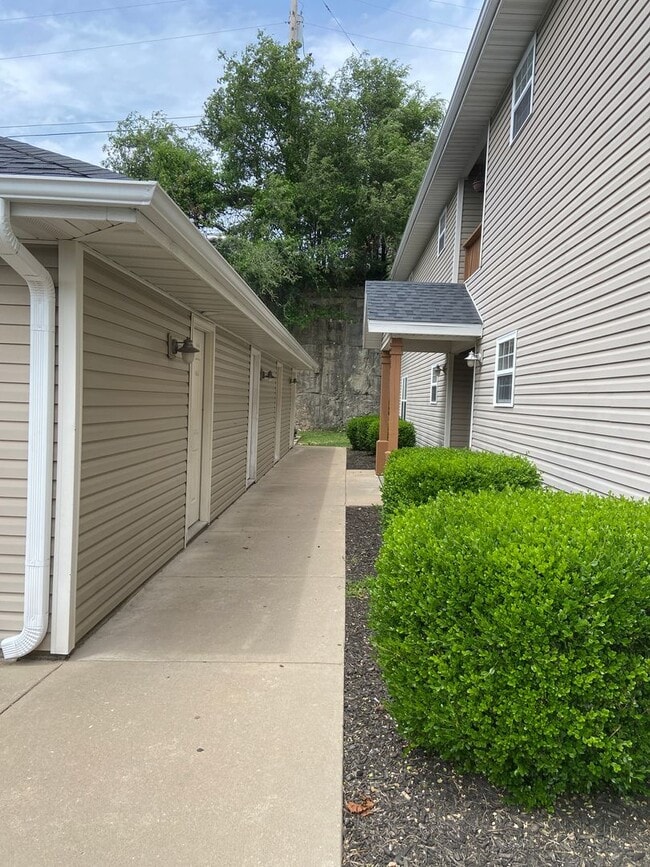 115 Knowledge Ave in Branson, MO - Building Photo - Building Photo