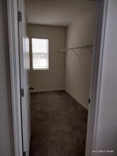 10857 Trailing Vine Dr in Tampa, FL - Foto de edificio - Building Photo