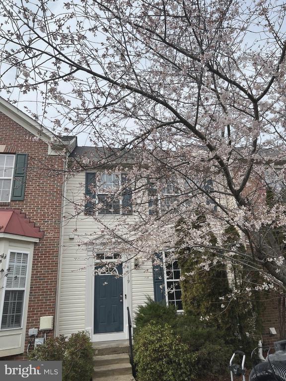 property at 4719 Morning Glory Trail