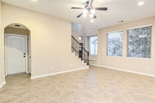 19 Cheswood Manor Court in The Woodlands, TX - Building Photo