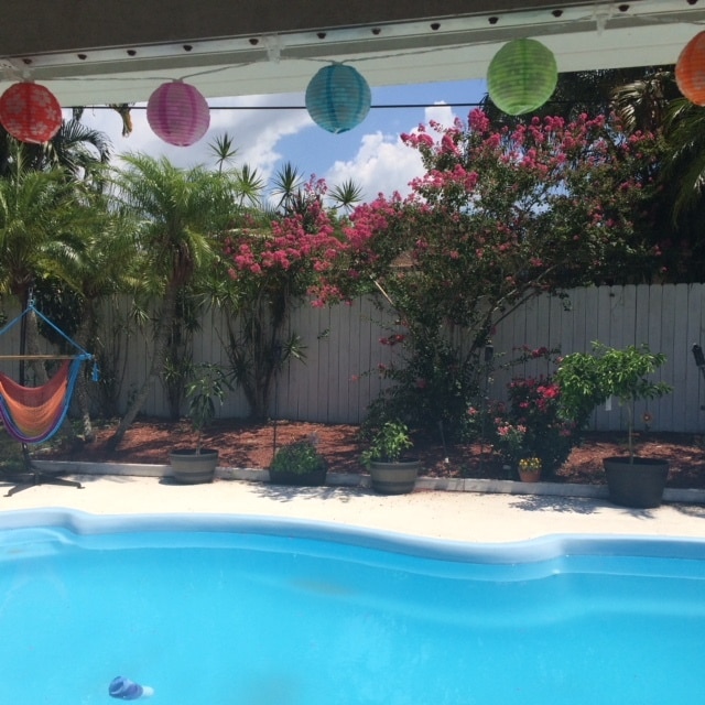 1831 Kay Dr in Largo, FL - Building Photo - Building Photo