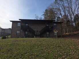 1060 Union St, Unit #3 in Kingsport, TN - Building Photo