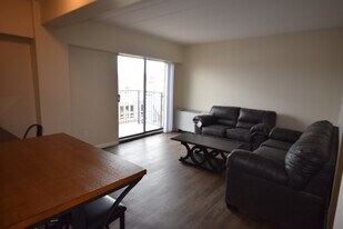 255 E Beaver Ave in State College, PA - Building Photo