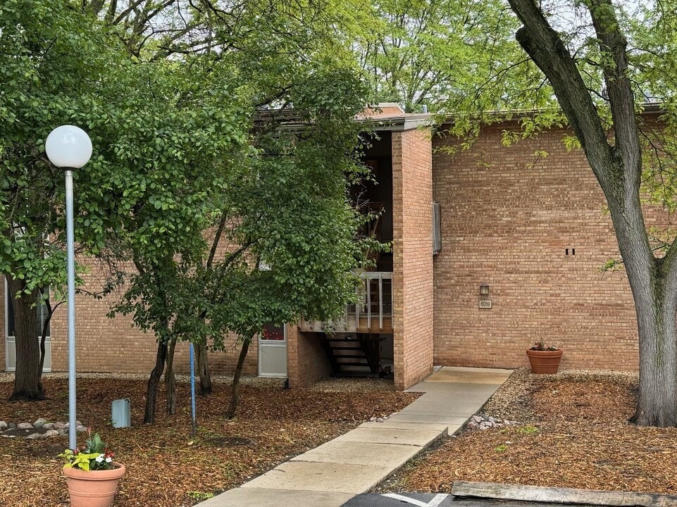 6019 Forest View Rd in Lisle, IL - Building Photo