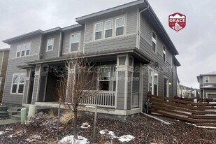 1131 Anker Dr in Erie, CO - Building Photo