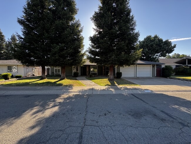 property at 1591 Christifer Ln