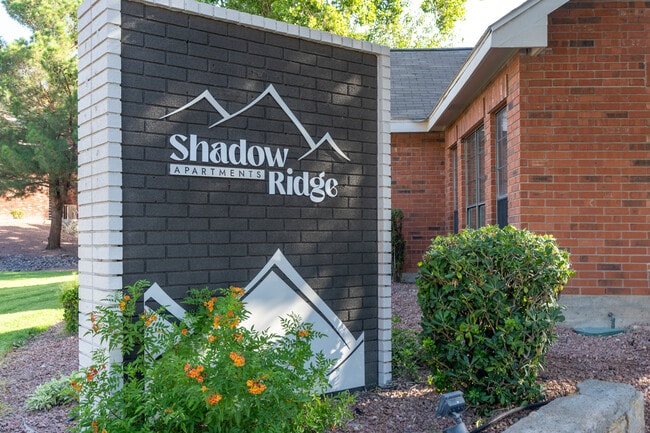 Shadow Ridge Apartment Homes in El Paso, TX - Building Photo - Building Photo