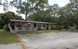 Tampa Villas Apartments