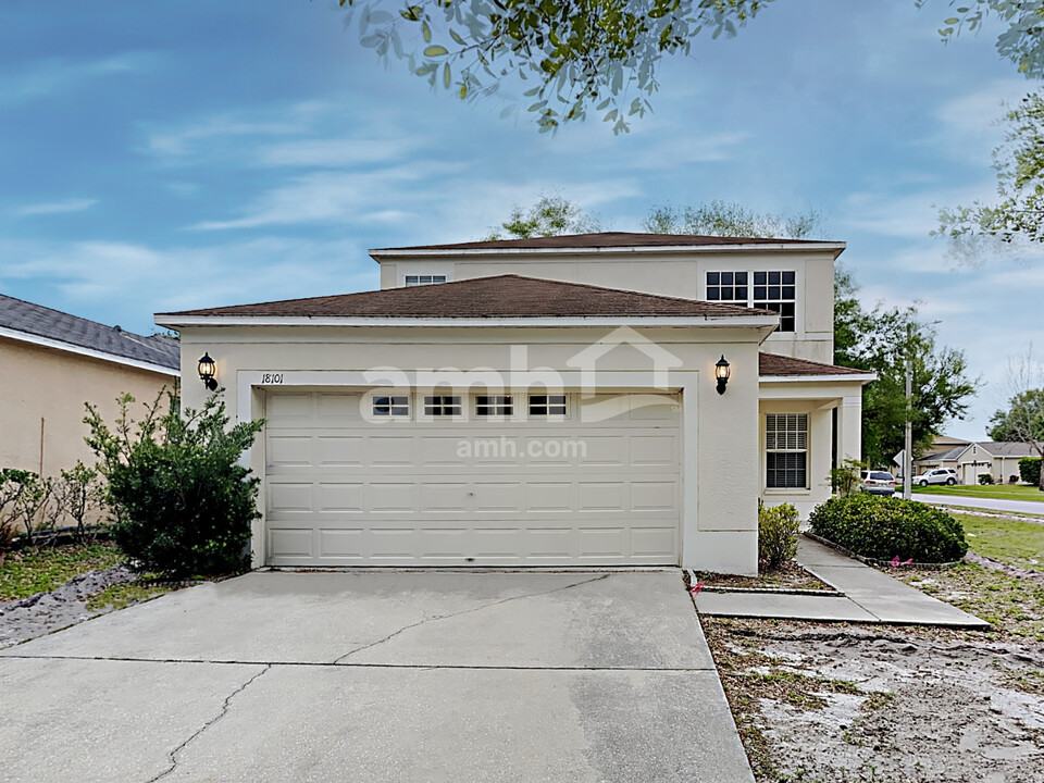 18101 Birdwater Dr in Tampa, FL - Building Photo